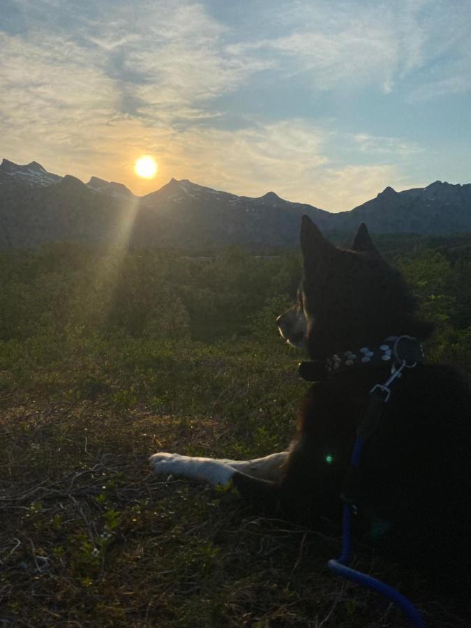 Nydelig Leilighet Pa Kreta I Lofoten カベルヴォーグ エクステリア 写真